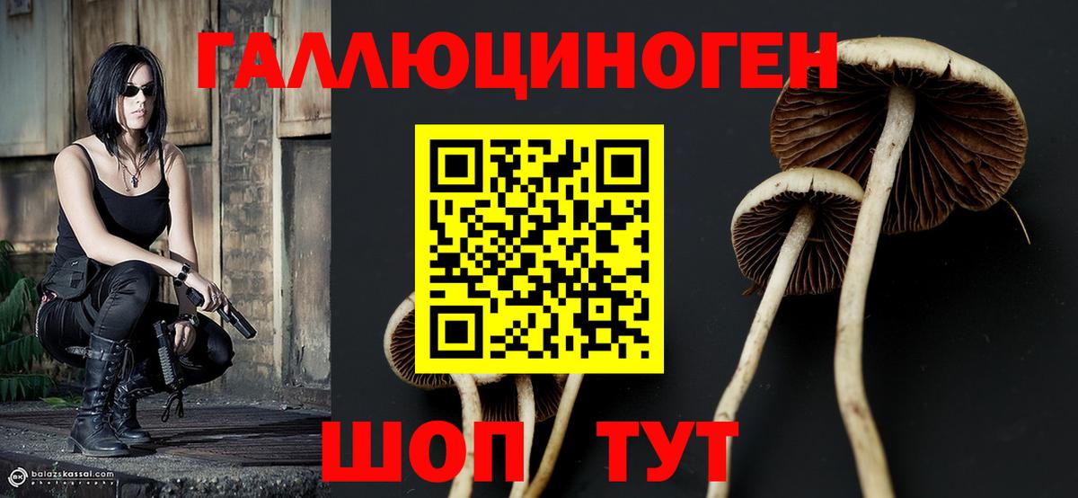 Галлюциногенные грибы MAGIC MUSHROOMS Медногорск