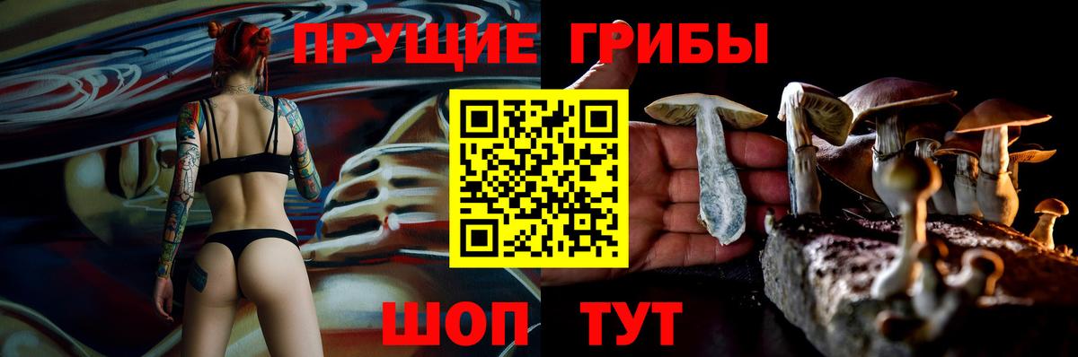 купить закладку  Галлюциногенные грибы мухоморы  Медногорск  Вход с VPN  Галлюциногенные грибы Psilocybine cubensis 