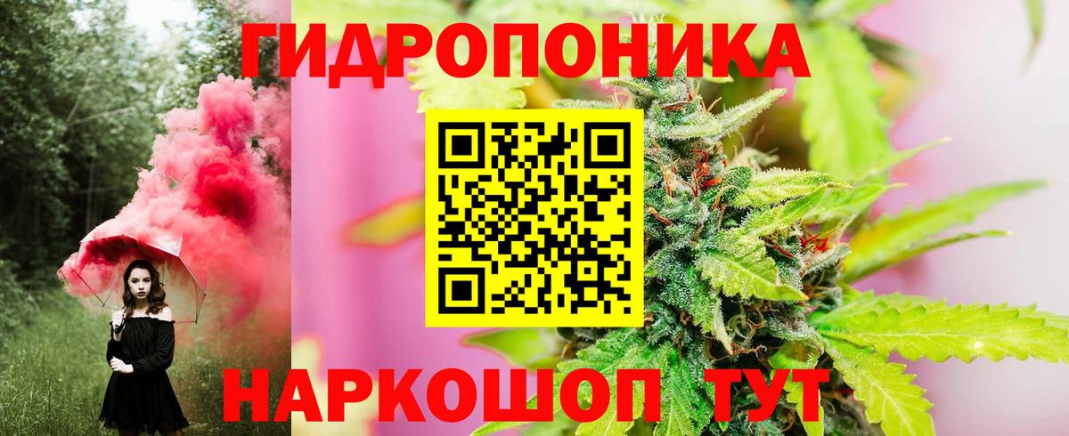 Шишки марихуана сатива Медногорск